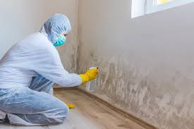 Mold Odor Removal Services in River Hills, WI